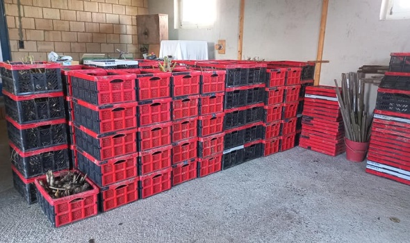 315821001 615507860372755 587220326344317493 n