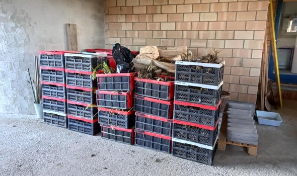 315956510 615507903706084 3678645412905475928 n 315956510 615507903706084 3678645412905475928 n