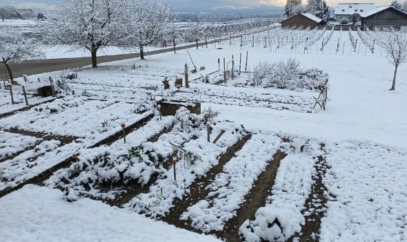 318538132 635727218350819 6286626532166310722 n 318538132 635727218350819 6286626532166310722 n