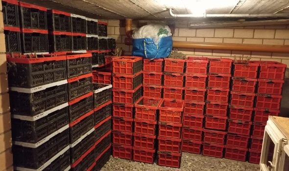 321052945 1061142391953999 4496041002794672868 n 321052945 1061142391953999 4496041002794672868 n