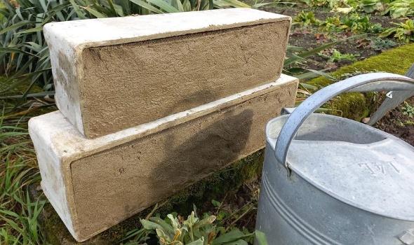 321737747 753849695571109 1158709768392545921 n 321737747 753849695571109 1158709768392545921 n