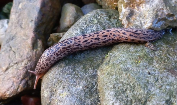 323642503 958461702206222 3692593902654100545 n 323642503 958461702206222 3692593902654100545 n