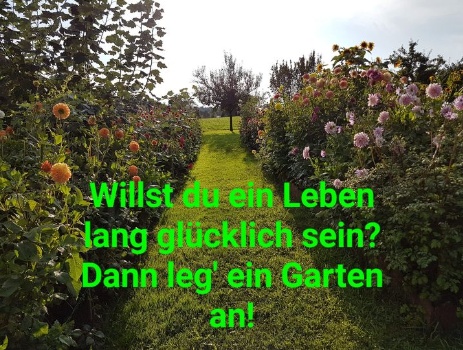 327916382 550375170392414 6370271983478280572 n