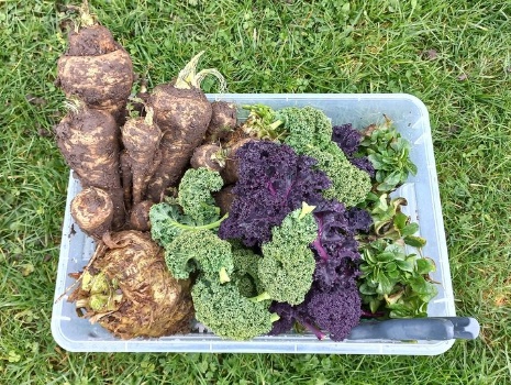 328238027 855841875815731 2516685571953533694 n 328238027 855841875815731 2516685571953533694 n