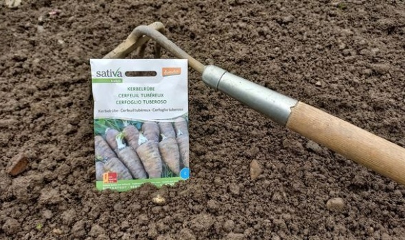 328475650 1930923863943891 1761905728924881936 n