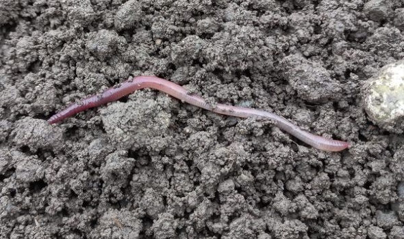 328709330 892789715033937 938462935007461962 n 328709330 892789715033937 938462935007461962 n