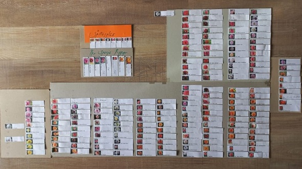 328977865 484986697168239 2838431209200234005 n 328977865 484986697168239 2838431209200234005 n