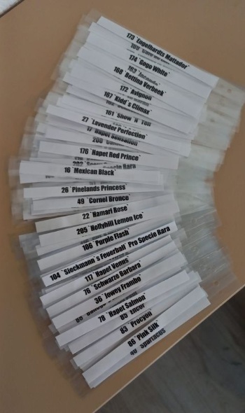 328979949 940312047278493 2969865838991454991 n 328979949 940312047278493 2969865838991454991 n