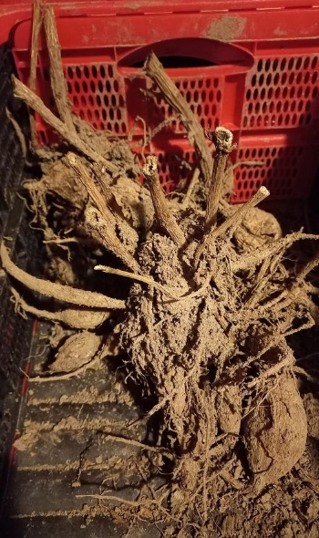 330306467 1340310100148613 2548467543879216713 n 330306467 1340310100148613 2548467543879216713 n