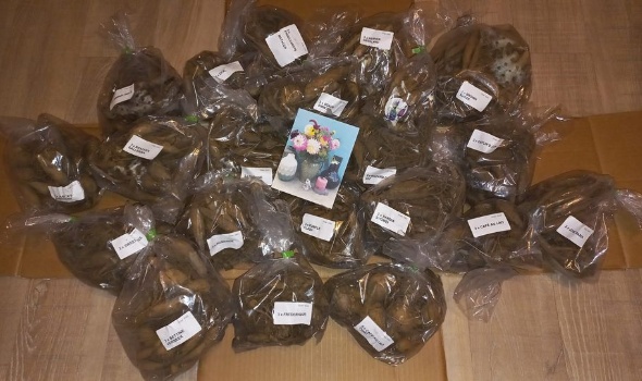 336349727 1363230837799441 3518910508065709501 n 336349727 1363230837799441 3518910508065709501 n