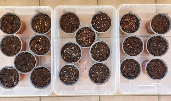 336765458 1192205441480386 6353626690283886096 n 336765458 1192205441480386 6353626690283886096 n