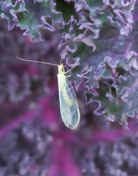 342049515 6235367723168282 4297155301717879161 n 342049515 6235367723168282 4297155301717879161 n