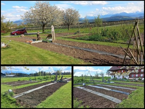 342350378 1455682355169877 3615457149727257872 n 342350378 1455682355169877 3615457149727257872 n