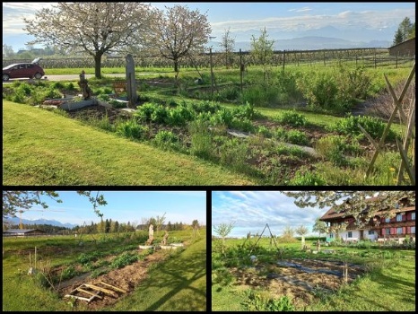 342362509 134005986319466 2397986526567176552 n