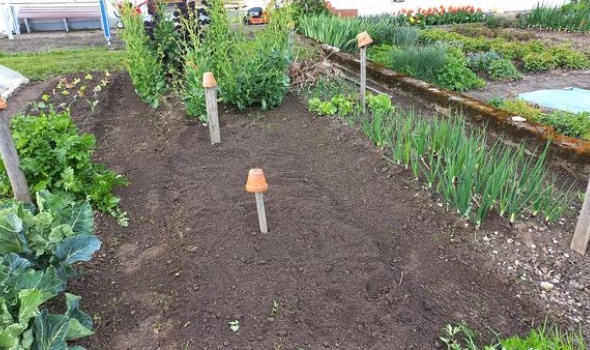 342689420 1200479277278036 2390392125555603780 n