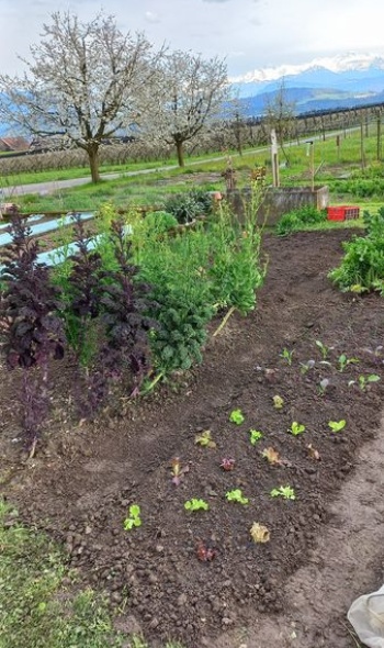 343141259 528693412807023 5174928543593551860 n 343141259 528693412807023 5174928543593551860 n