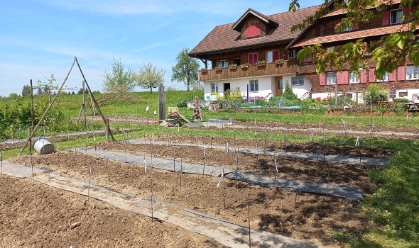 342479626 267717248936851 1550066221877219446 n 342479626 267717248936851 1550066221877219446 n