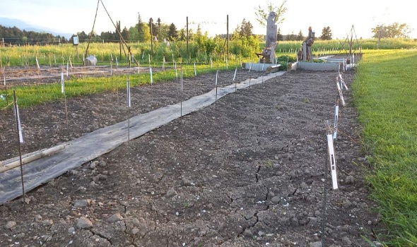 342717800 962730918212393 6415873390721276067 n 342717800 962730918212393 6415873390721276067 n