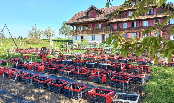 342883317 186830087624857 6015540777126166876 n