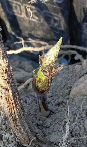 344868466 204011962416120 4001756400180474341 n 344868466 204011962416120 4001756400180474341 n