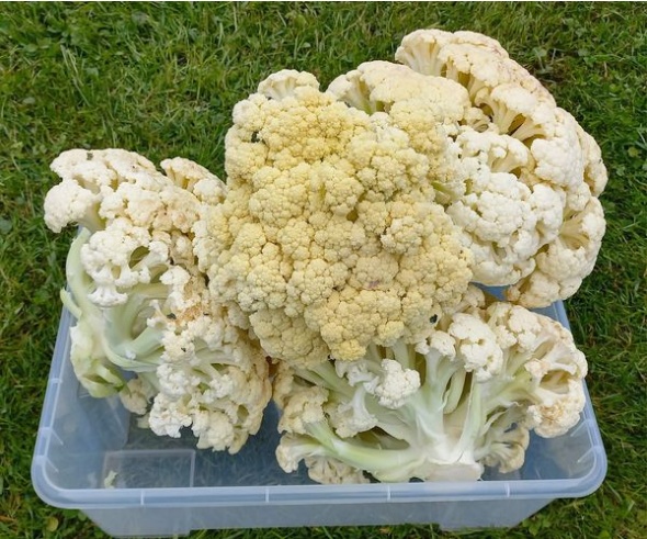 345031053 282919974078279 5279189469856484158 n 345031053 282919974078279 5279189469856484158 n