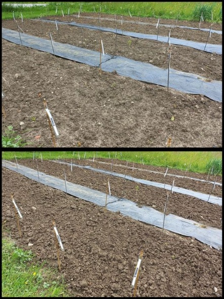 345038356 254427323908008 6072942211351313640 n 345038356 254427323908008 6072942211351313640 n