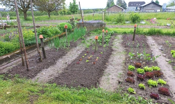 345042105 961515025002520 4815736326008027456 n 345042105 961515025002520 4815736326008027456 n