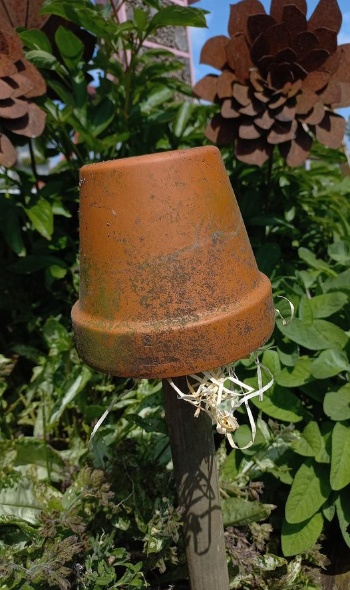 345628132 3527031324208854 903668473542885595 n 345628132 3527031324208854 903668473542885595 n