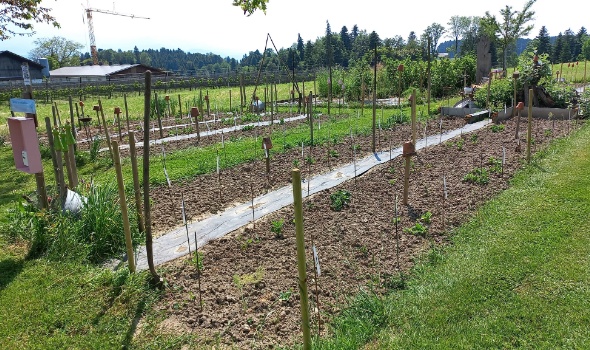 346087531 791123662341305 6730488067297678621 n