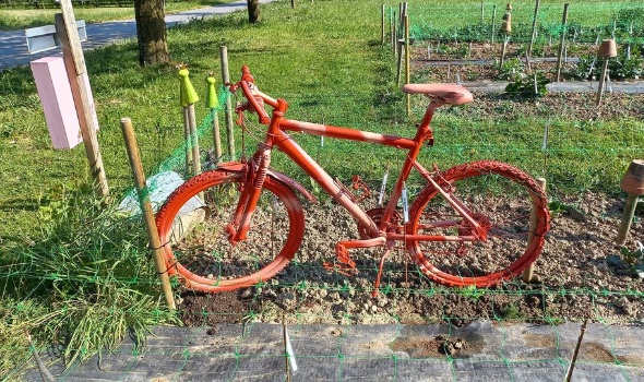 346494647 754520353138171 6075605232324682000 n 346494647 754520353138171 6075605232324682000 n