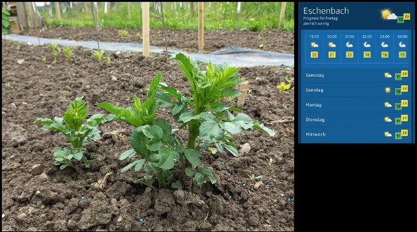 346501231 1598930600629822 6593718906891929860 n 346501231 1598930600629822 6593718906891929860 n