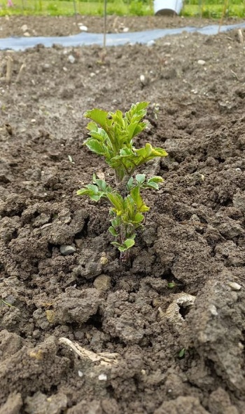 347585437 2188230474720163 8904554331424936378 n 347585437 2188230474720163 8904554331424936378 n