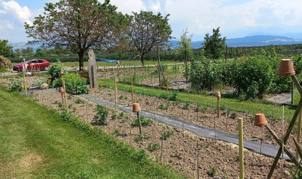 348334434 269330392138929 260322953605167480 n 348334434 269330392138929 260322953605167480 n