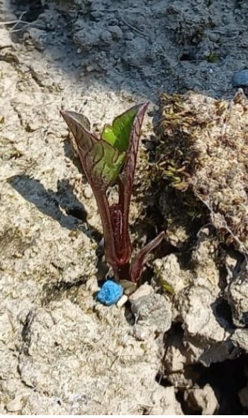 350339216 971462707632843 2644193353969558115 n 350339216 971462707632843 2644193353969558115 n