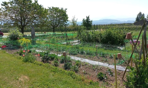 351524603 754289103161296 9088735915125860070 n 351524603 754289103161296 9088735915125860070 n