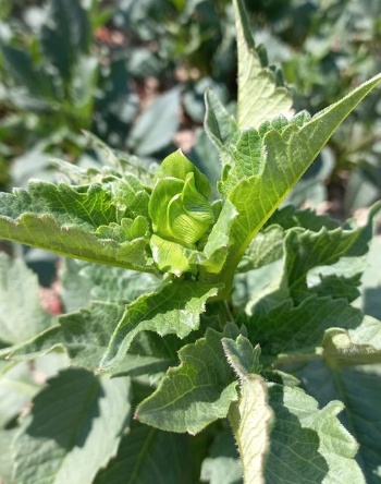 353046970 754289953161211 1248851819127164293 n 353046970 754289953161211 1248851819127164293 n