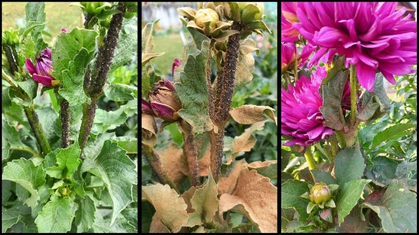 356244864 774279987828874 1006251238987784685 n 356244864 774279987828874 1006251238987784685 n