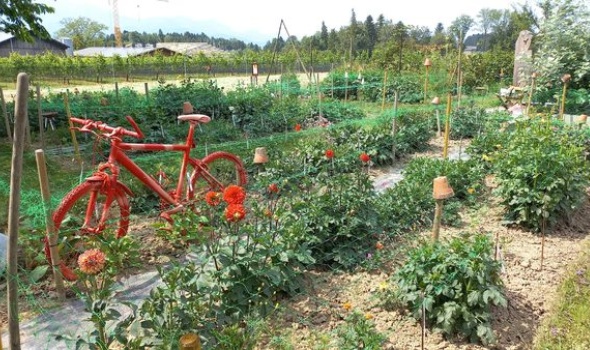 356429695 771196571470549 1118703244377231265 n