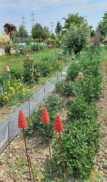 356677483 771196618137211 5117730499345592002 n