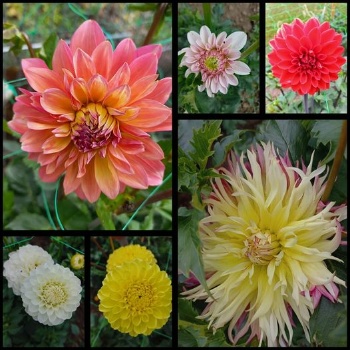 357795374 765965478660325 3901119486409262386 n 357795374 765965478660325 3901119486409262386 n