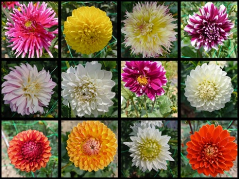 358141922 771196501470556 6946781679358919888 n