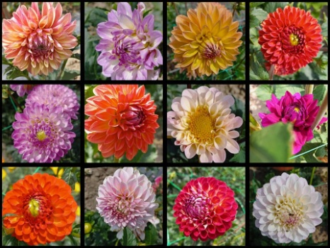 358152673 771196464803893 6830475105496420098 n 358152673 771196464803893 6830475105496420098 n