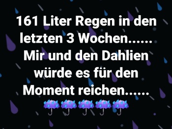 Screenshot 20230724 100557 Facebook Screenshot 20230724 100557 Facebook