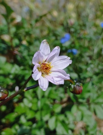 362624608 778893850700821 3186068085936543169 n 362624608 778893850700821 3186068085936543169 n