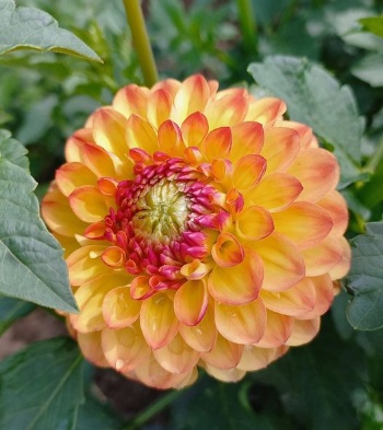 363327878 778900484033491 4159133505372155269 n 363327878 778900484033491 4159133505372155269 n