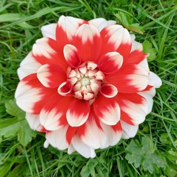 364772523 783009433622596 8609153381776096101 n 364772523 783009433622596 8609153381776096101 n