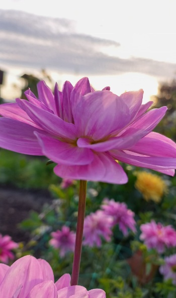 365802120 786711039919102 4561805818800077977 n