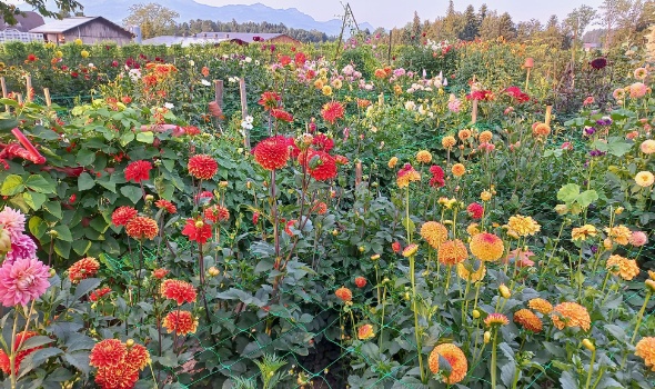 368011431 791869822736557 3998843225992017688 n