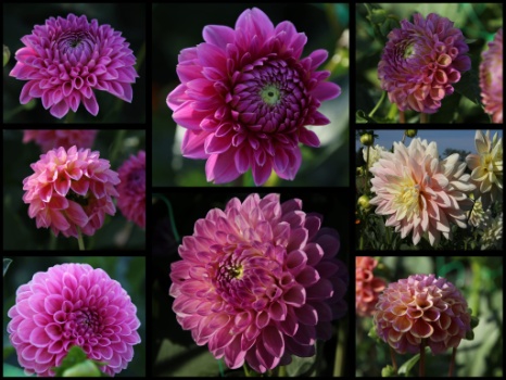 368268984 792917775965095 879284443227299958 n 368268984 792917775965095 879284443227299958 n