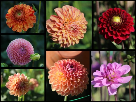 368336725 792918049298401 900473219322172123 n